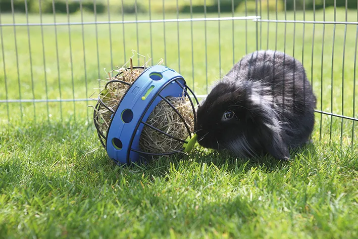 Bunny Toy Hay and Snack Feeder - Interactive Feeding Fun