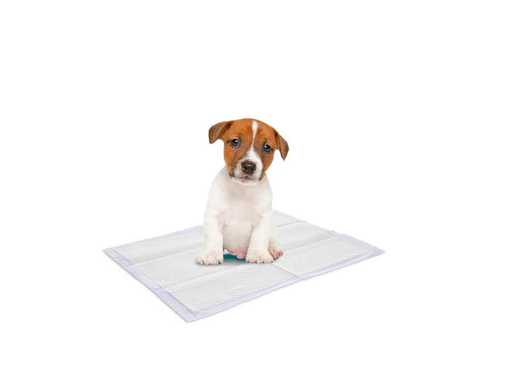 Puppy Trainer Lavender 30 training pads