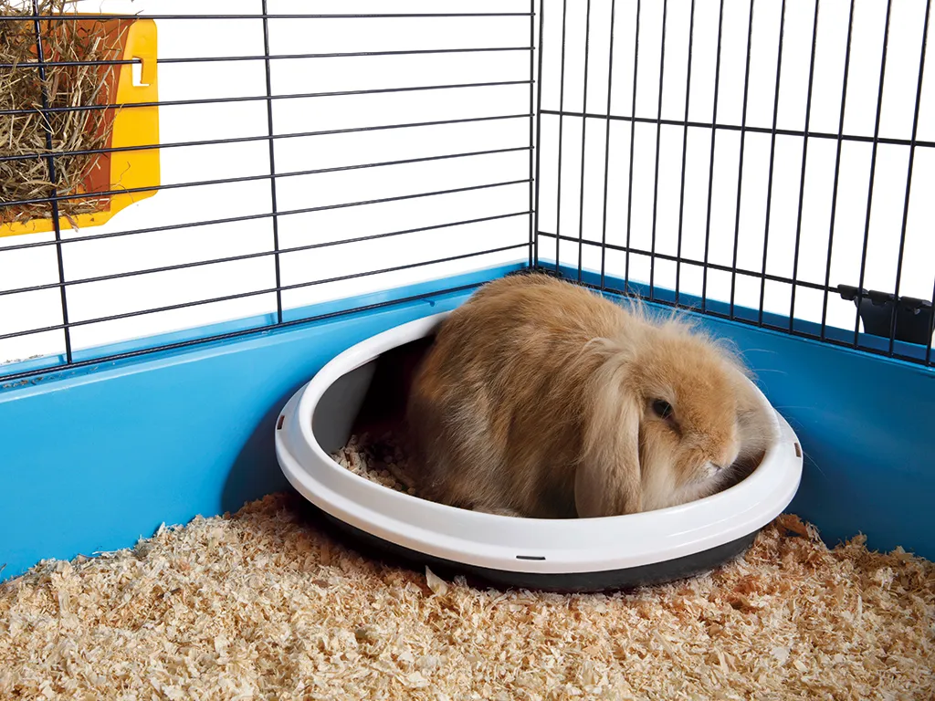 Concha Small Animal Toilet - Efficient Cage Hygiene Solution
