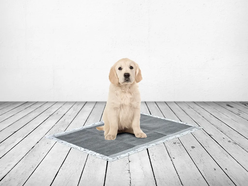 Puppy Trainer Carbon 50 training pads