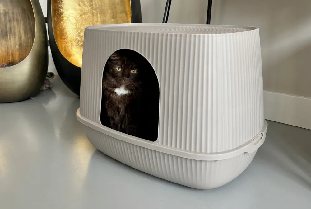 Black cat sitting inside the Savic Moona litter box in mocha, showing the sheltered hooded space.