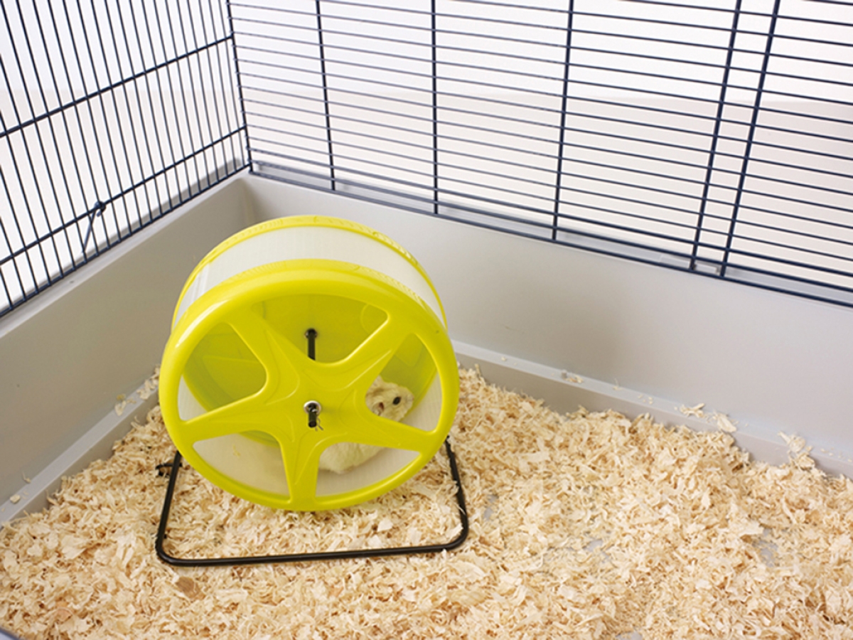 Orbital Medium silent exercise wheel Orbital Medium silent exercise wheel