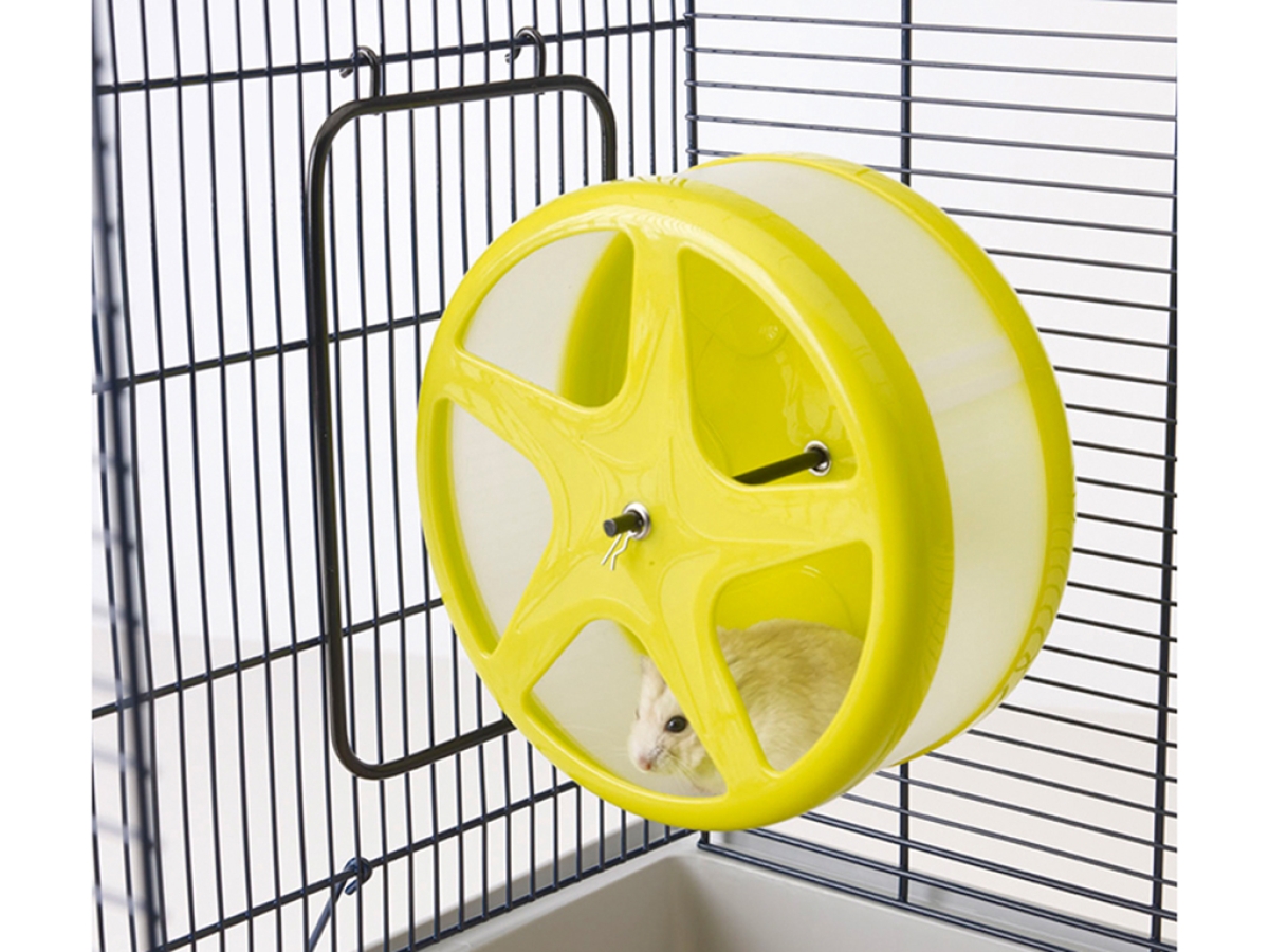 Orbital Medium silent exercise wheel Orbital Medium silent exercise wheel