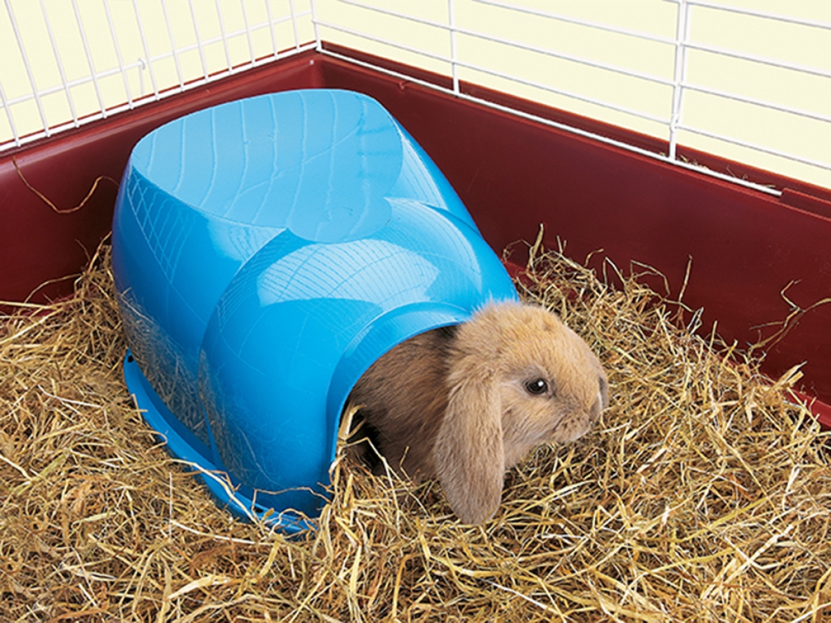 Cocoon small animal hideawa