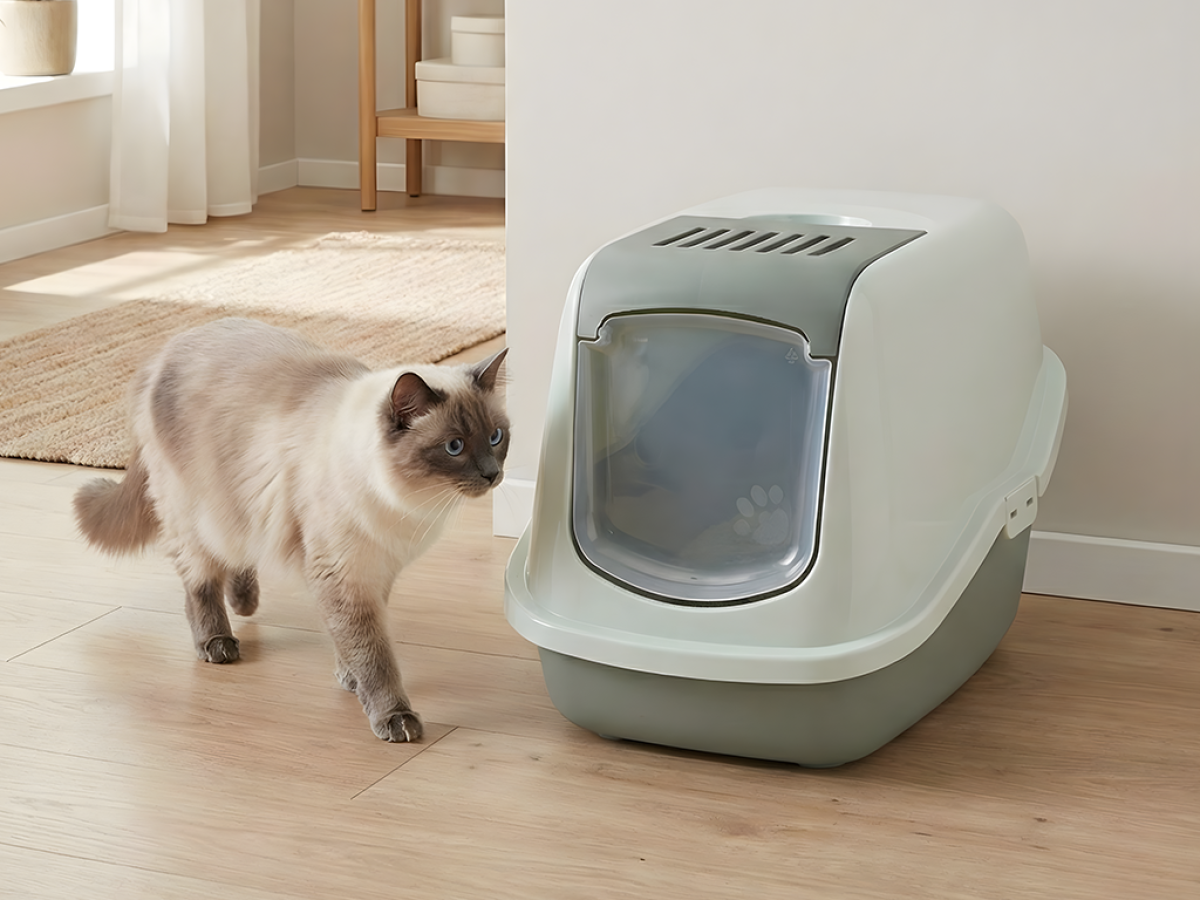 Savic Nestor covered cat litter box in eucalyptus green and mint cream with foldable front and swing door.