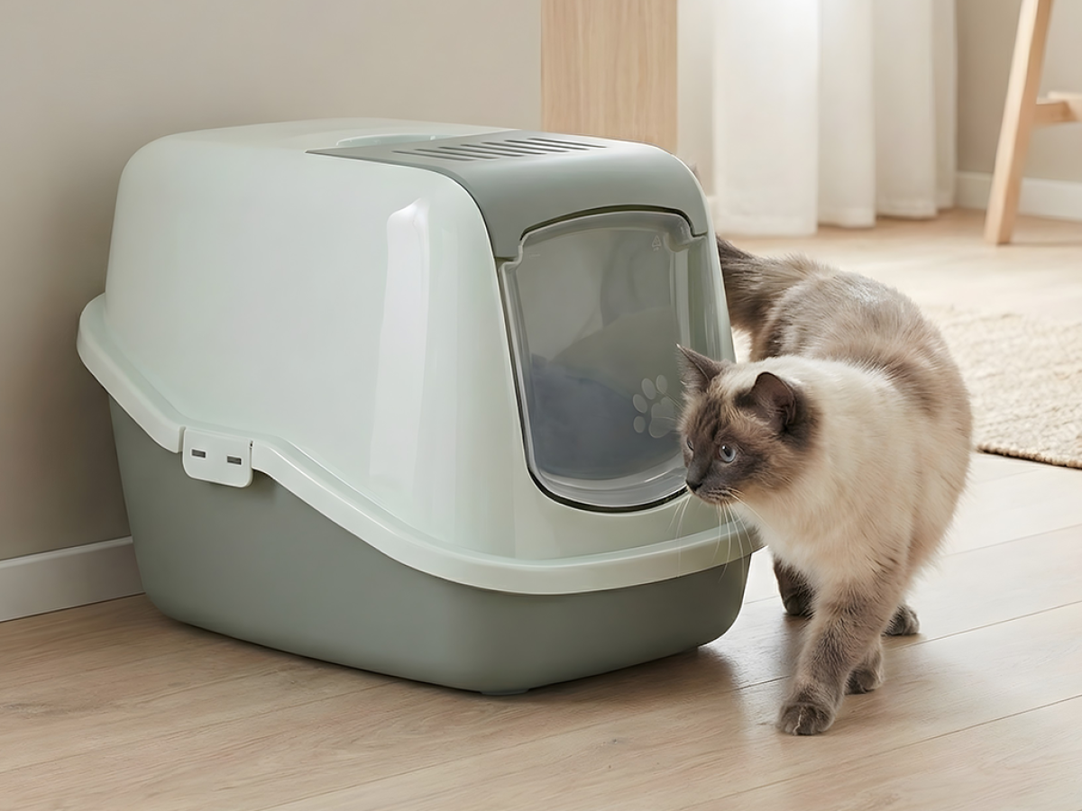 Savic Nestor covered cat litter box in eucalyptus green and mint cream with foldable front and swing door.