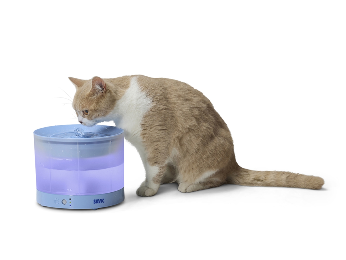 Savic Sensa Water Fountain Blue with translucent water reservoir and LED indicators