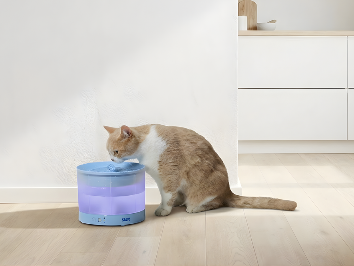 Savic Sensa Water Fountain Blue with translucent water reservoir and LED indicators