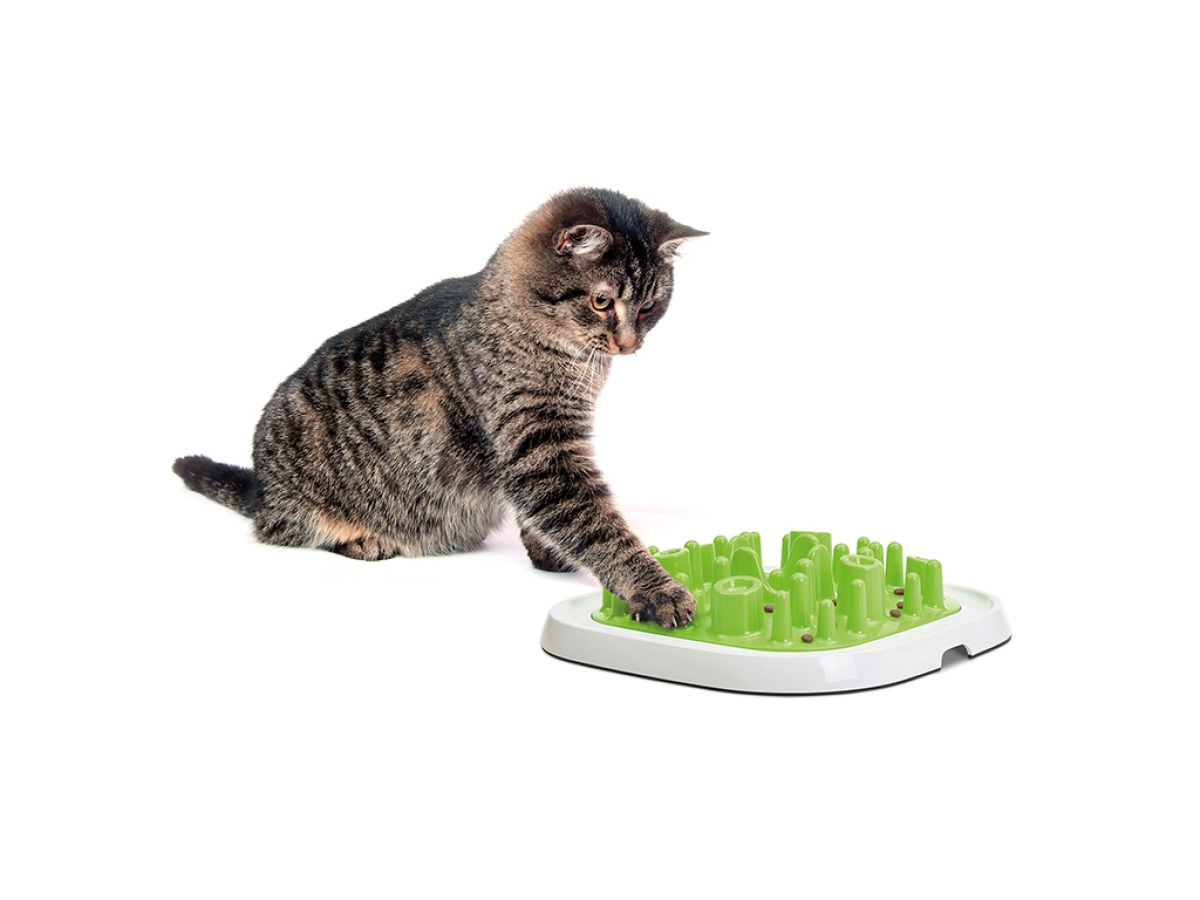 Pet Enigma feeding bowl - Large - 20