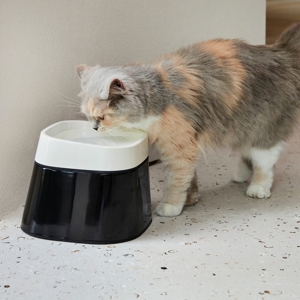 Ergo Cube Water drinking bowl with cat Ergo Cube Water drinking bowl with cat