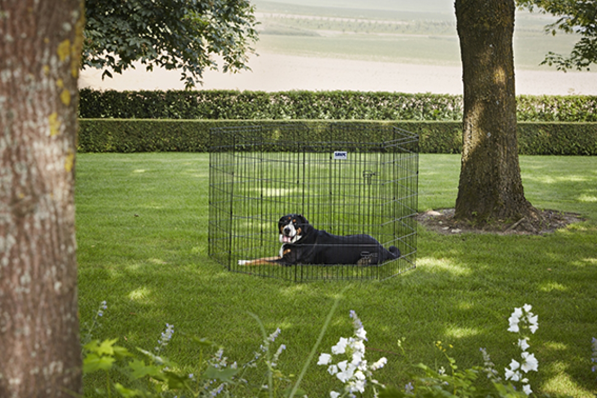 Dog Park 3 play pen - 107 cm