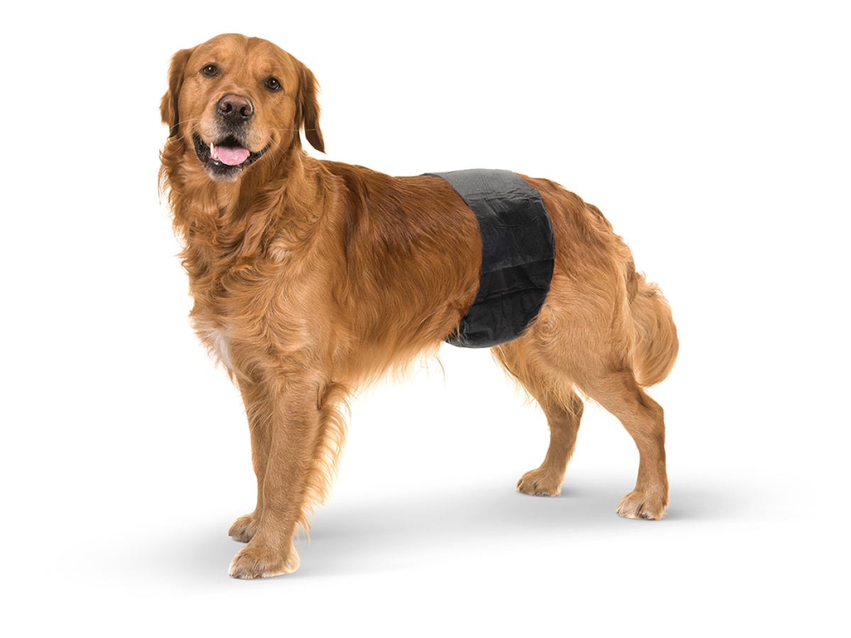 Male Comfort Nappy - Large