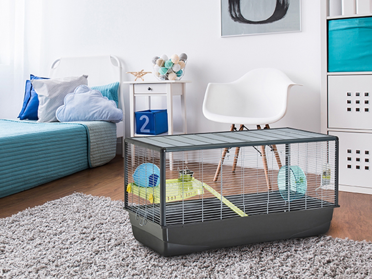 Hamster Plaza 100 small animal cage interior Hamster Plaza 100 small animal cage interior