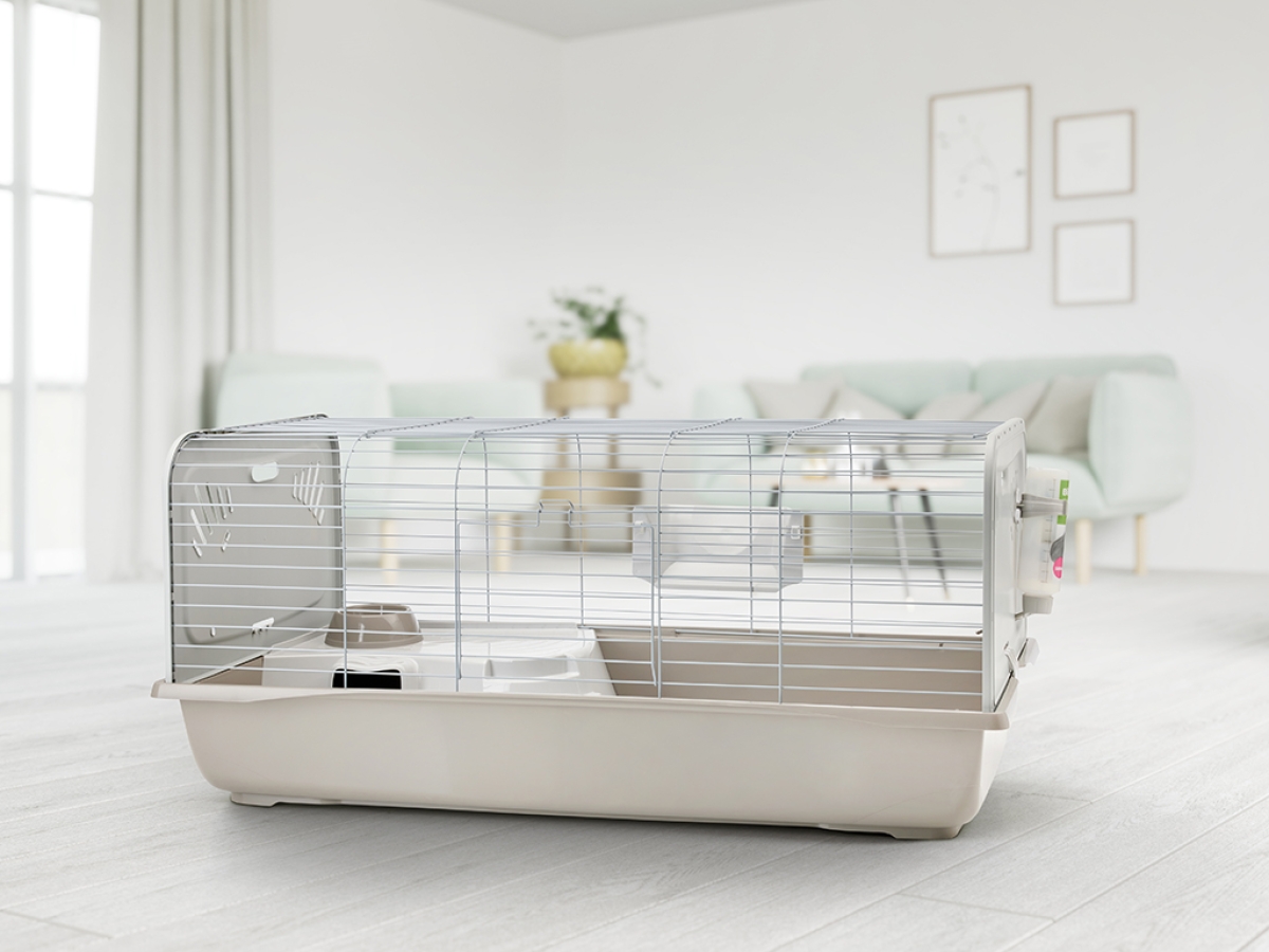 Caesar 4 small animal home Caesar 4 small animal home