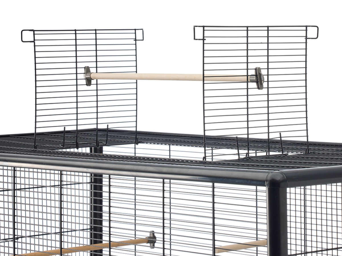 Primo 120 Empire Open detail