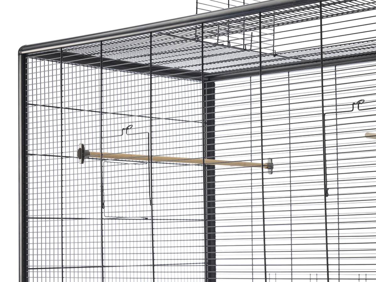 Primo 120 Empire Open detail