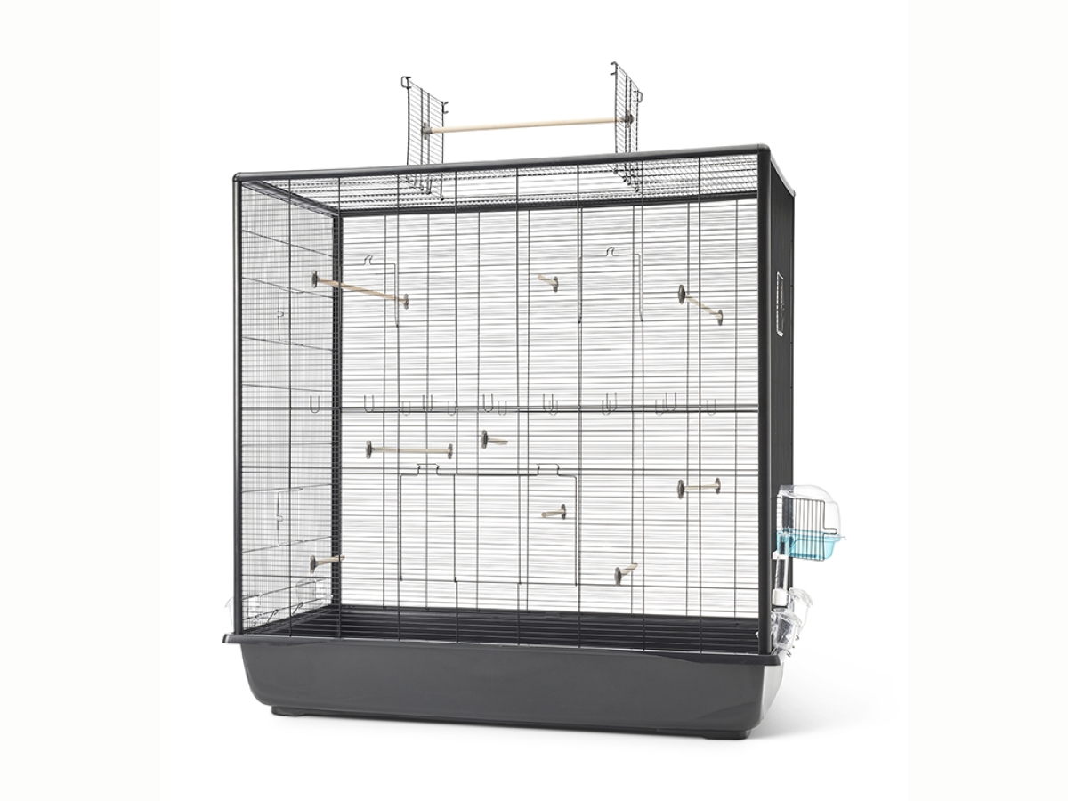 Primo 120 Empire Open