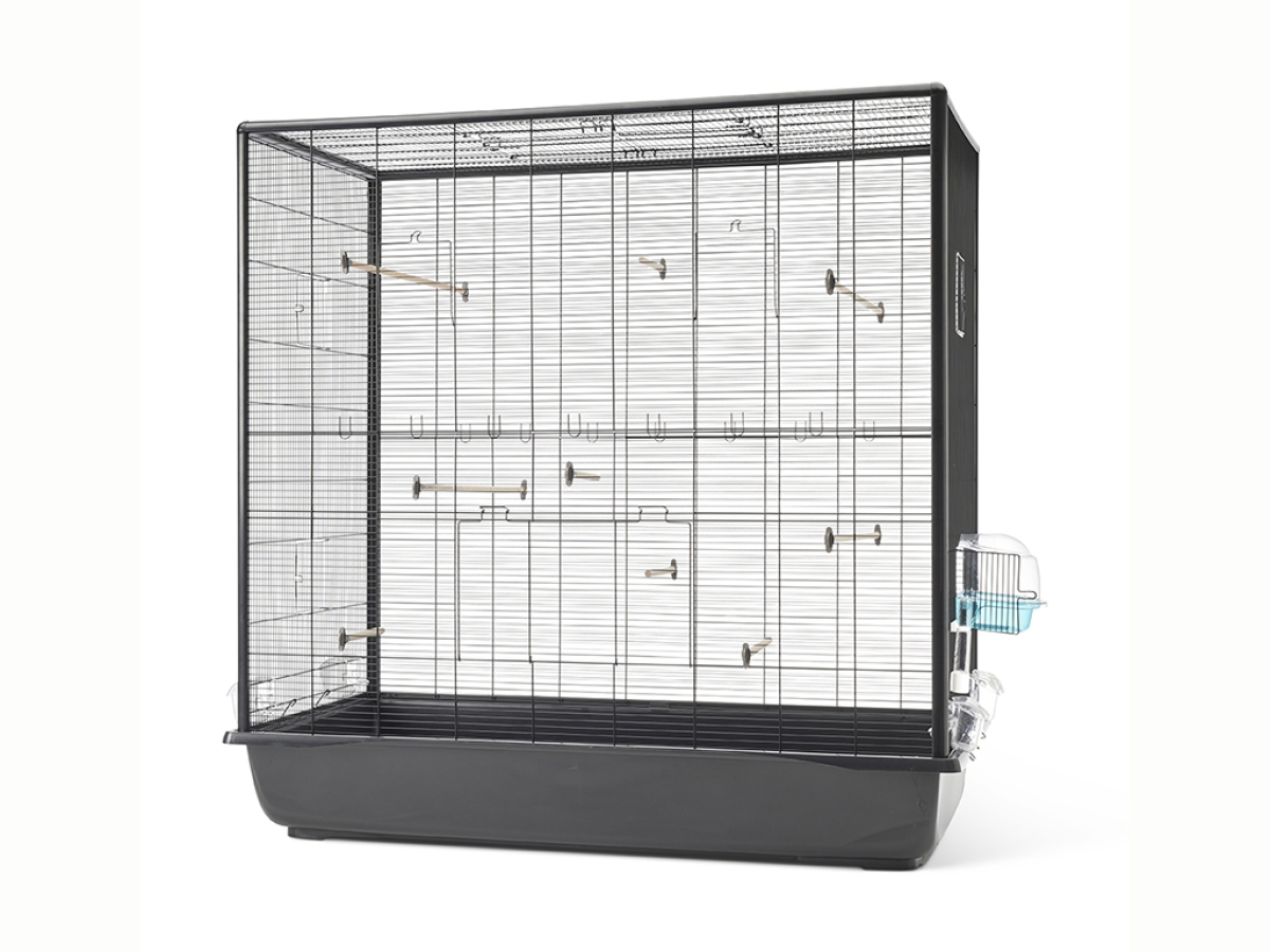 Primo 120 Empire Open