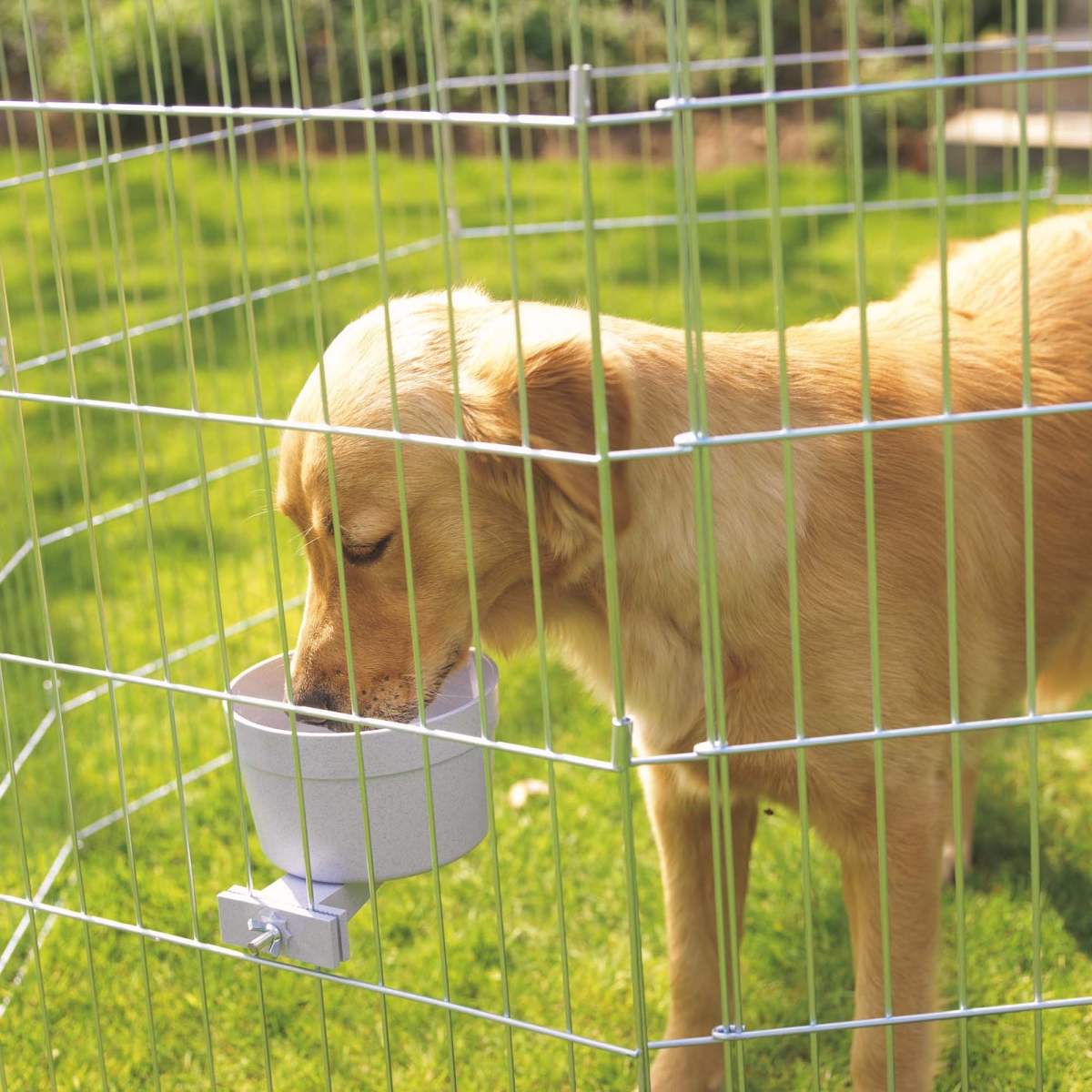 Crock food bowl - 1,2 L - Giant