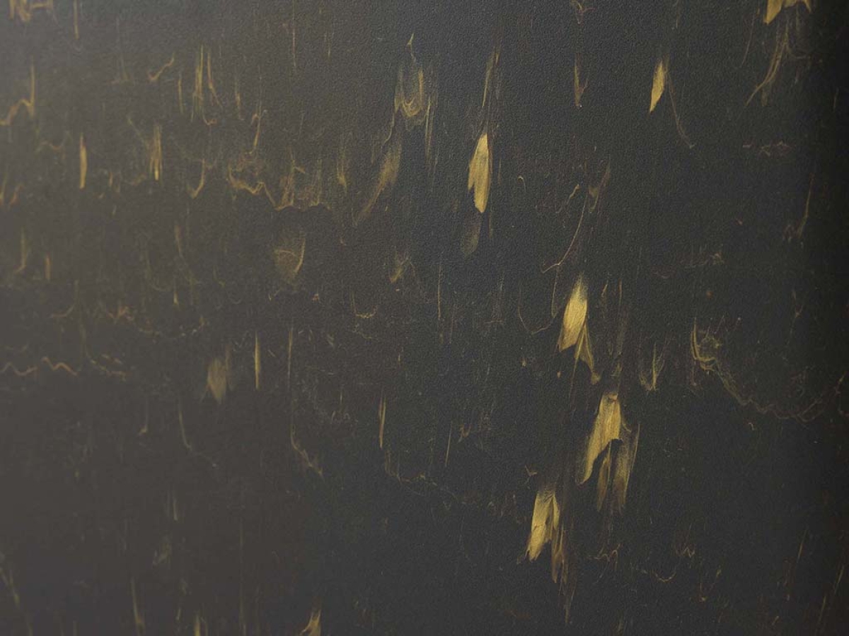 Hop In Marble Black Gold – Stylish Top-Entry Litter Tray Detail view of Savic Hop In Marble Black Gold stylish top-entry cat litter tray with perforated lid and marble finish