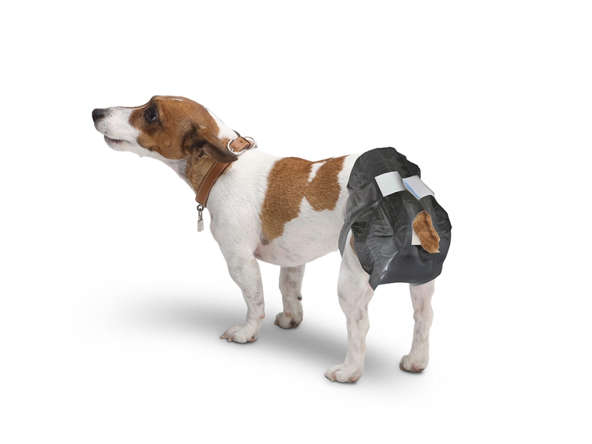 Comfort Nappy dog diapers - Size 3