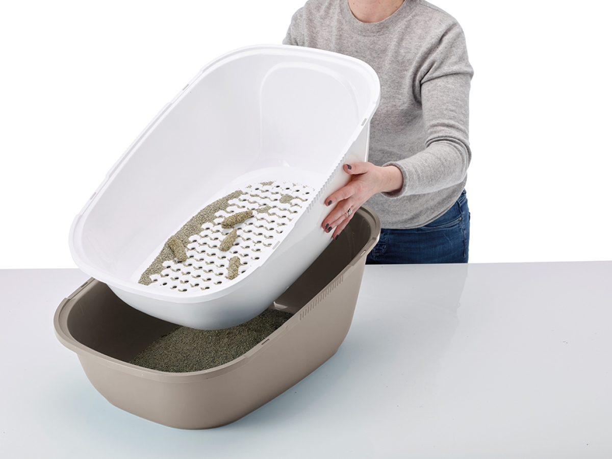 Reina Sift toilet home