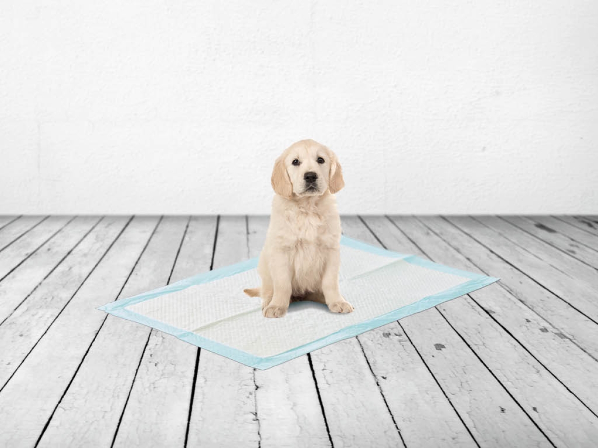 Puppy Trainer Large training pads - 15 pads Puppy Trainer Large training pads - 15 pads