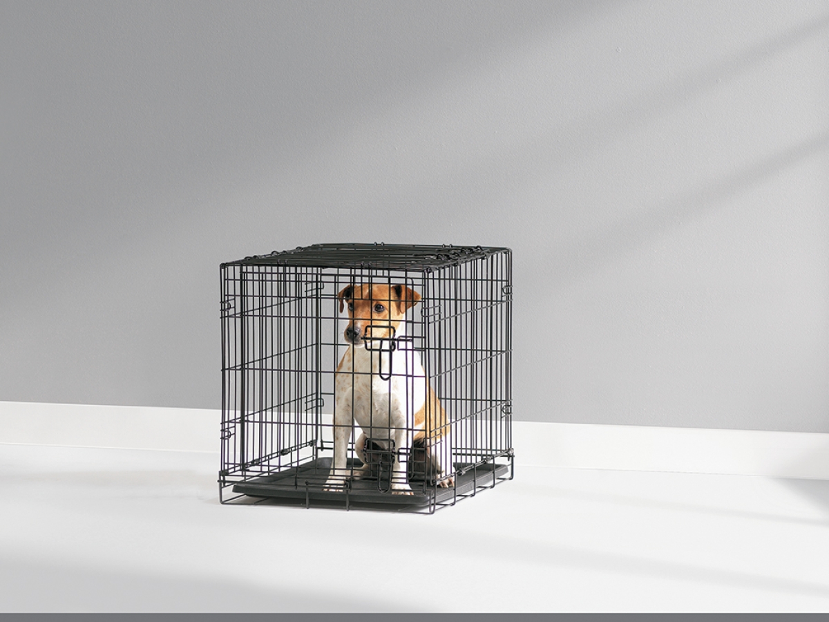 Dog Cottage dog crate - 50 cm Dog Cottage dog crate - 50 cm