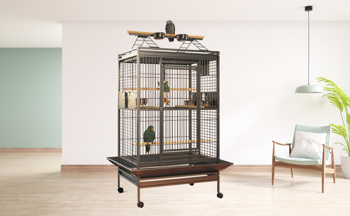 Wellington interior Wellington interior