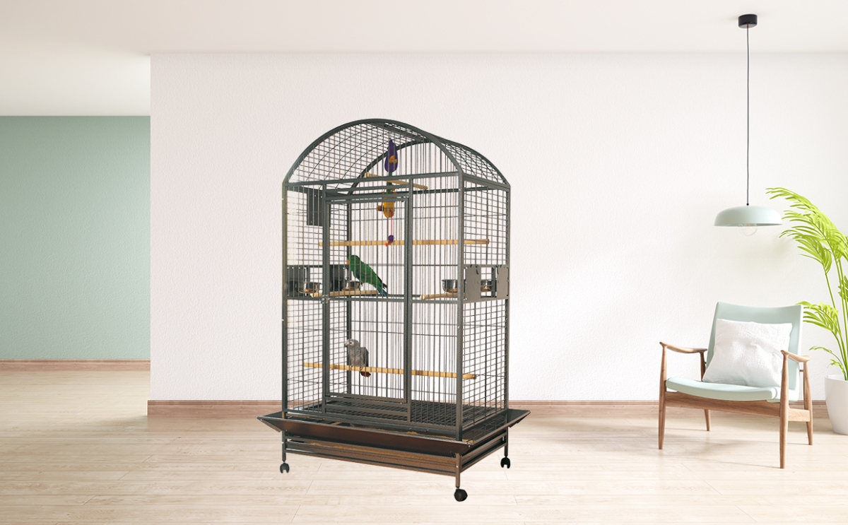 Karumba interior Karumba interior