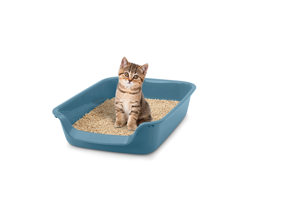2059_2 Junior Toilet Litter Tray - Bluestone | Perfect for Cats & Small Dogs
