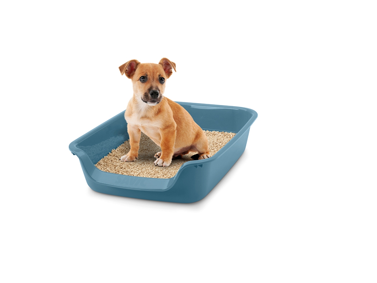 2059_3 Junior Toilet Litter Tray - Bluestone | Perfect for Cats & Small Dogs