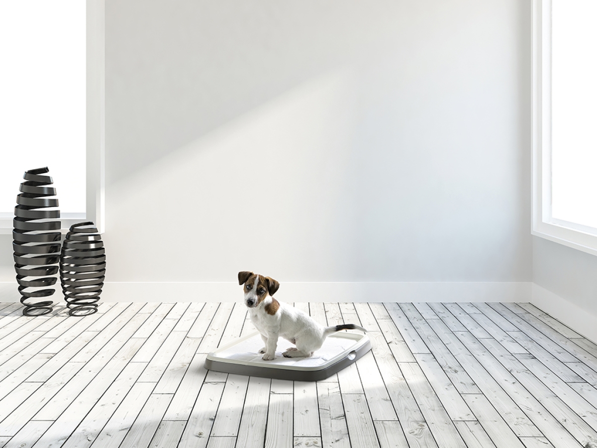 3240 puppy trainer starter kit medium 3240 puppy trainer starter kit medium