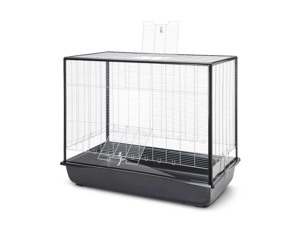 5241 9201 Argus 120 Plexi Knock Down silver-black open