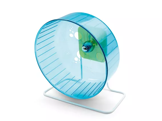 Rolly Giant + stand exercise wheel