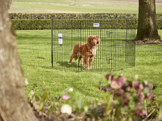 Dog Park 2 puppy and dog playpen – 8 panels for custom shapes, 91 cm high, secure, expandable, and finished with durable black e-coating for indoor and outdoor use.