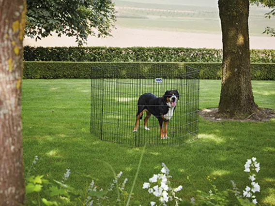Dog Park 3 puppy and dog playpen – 8 panels for custom shapes, 107 cm high, secure, expandable, and finished with durable black e-coating for indoor and outdoor use.