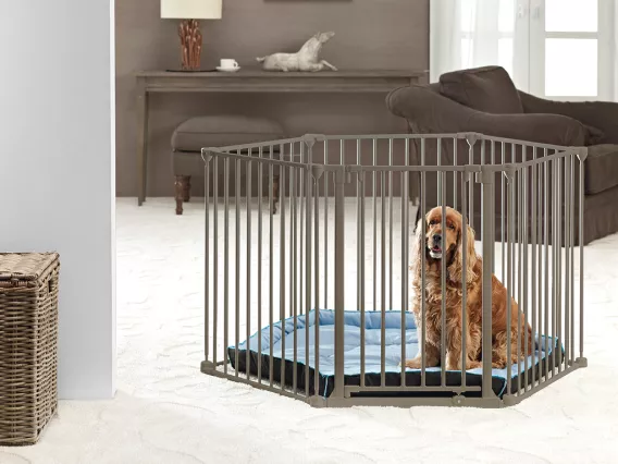 Dog Park De Luxe playpen in warm grey – 6 panels, secure, multi-functional, and expandable, with a washable cushion for indoor and outdoor use.