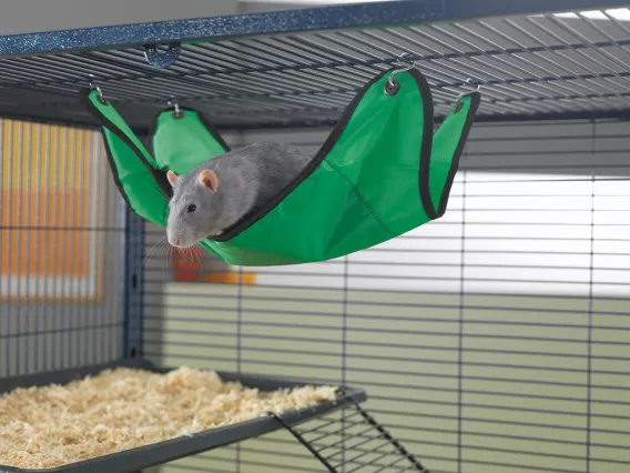 5918